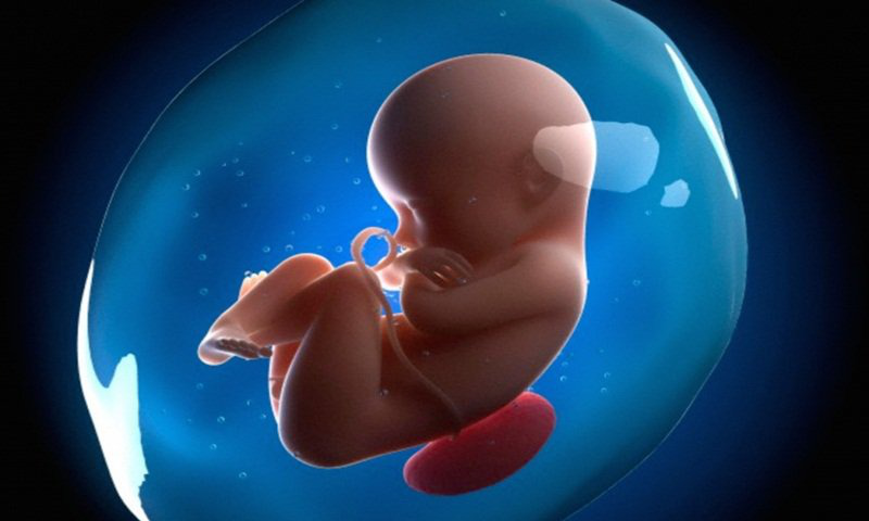 Nước ối là chất lỏng trong suốt, không màu, giúp bảo vệ bé